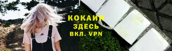 стафф Армянск