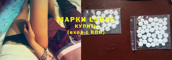шишки Аркадак