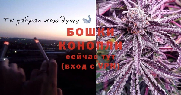 шишки Аркадак