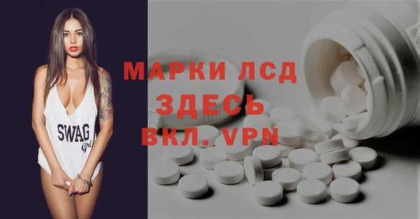 шишки Аркадак