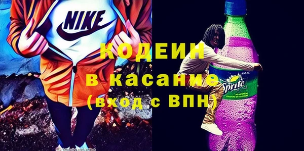 шишки Аркадак