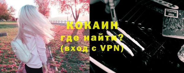 шишки Аркадак
