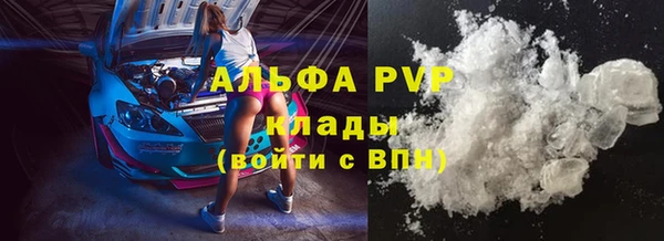 ешки Арсеньев